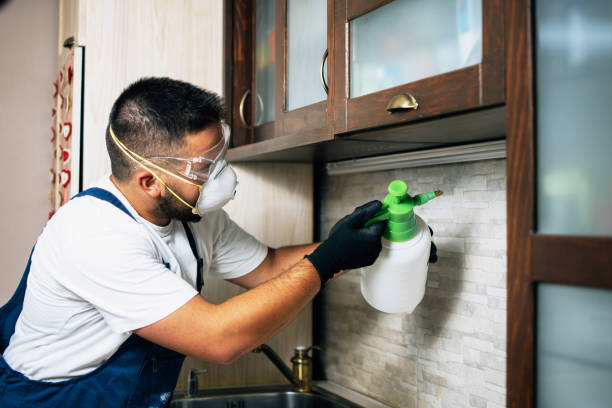 Best Wildlife Control Services  in Westport Village, CT