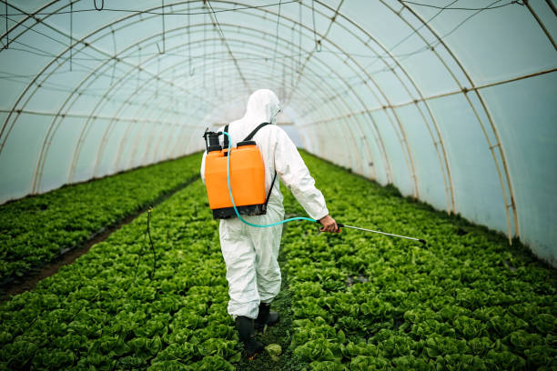 Best Pest Removal Services  in Westport Village, CT