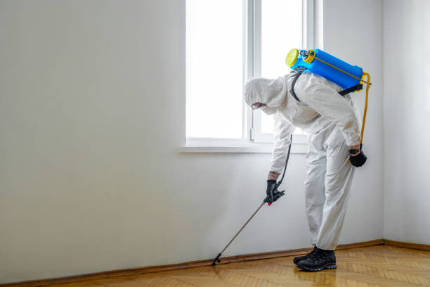 Best Termite Control Services  in Westport Village, CT