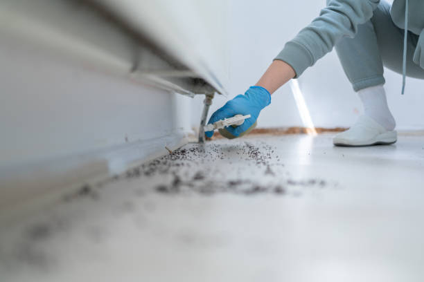 Pest Prevention Services in Westport Village, CT