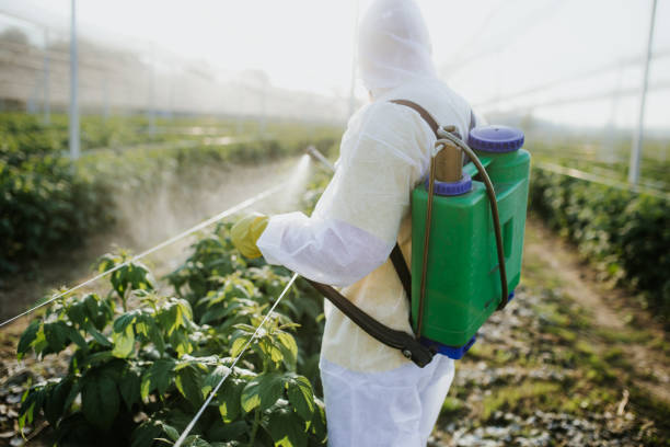 Best Best Pest Control Companies  in Westport Village, CT